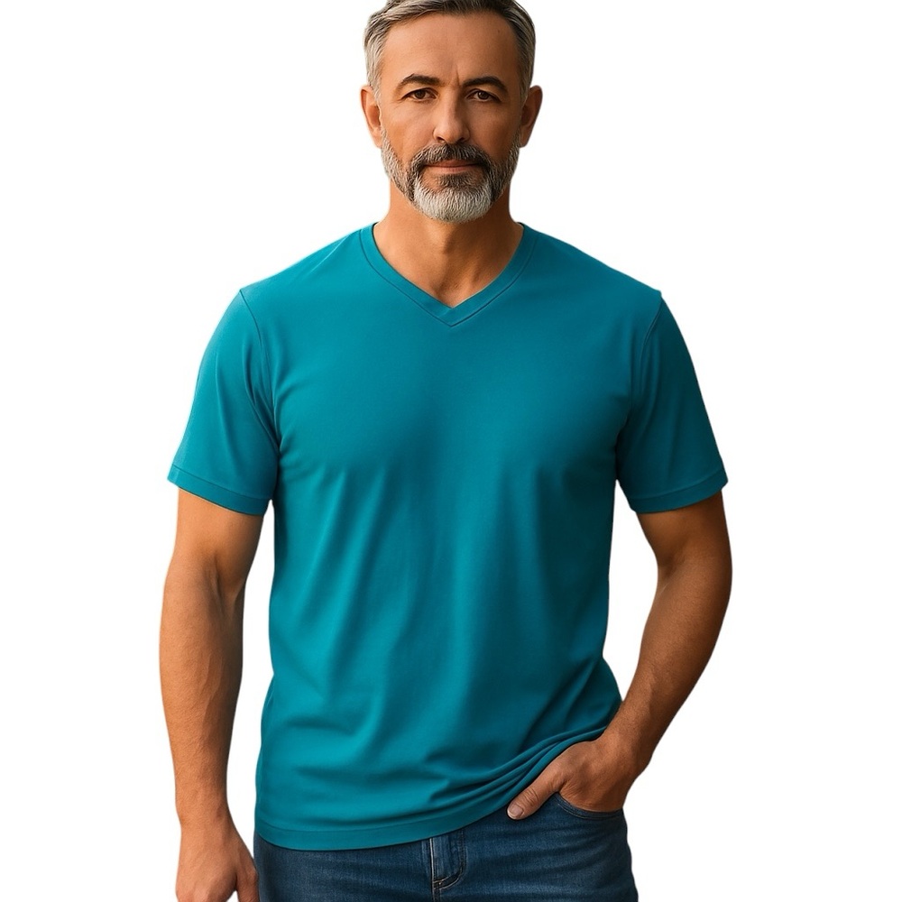 ROBERT GRAHAM MENS BLUE VNECK SHORT SLEEVE TEE SHIRT TOP L
